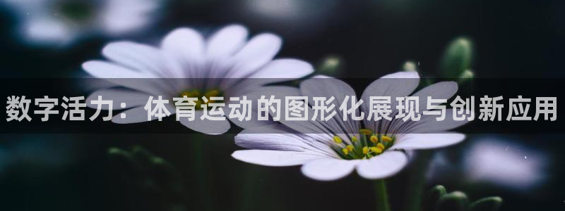 MK体育官网下载联系电话:数字活力:体育运动的图形化展现与创