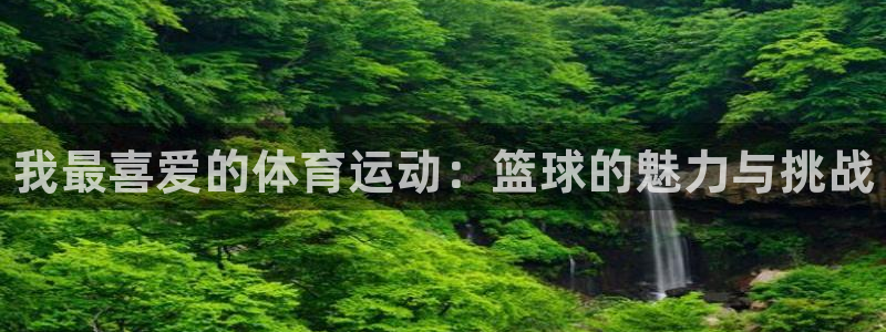 MK体育官方正版app娱乐首页网站大全:我最喜爱的体育运动:
