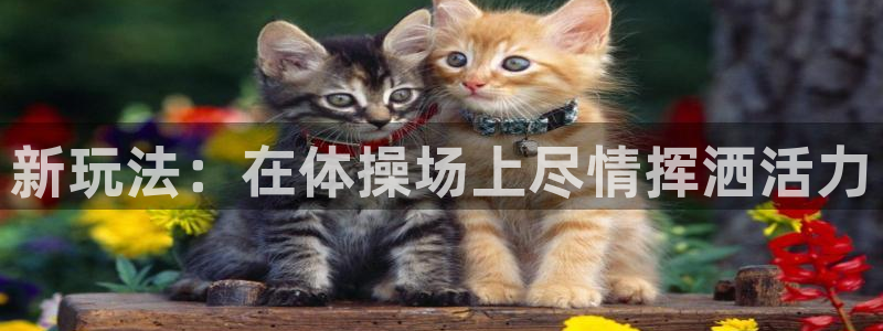 MK体育官方正版app娱乐网站:新玩法:在体操场上尽情挥洒活