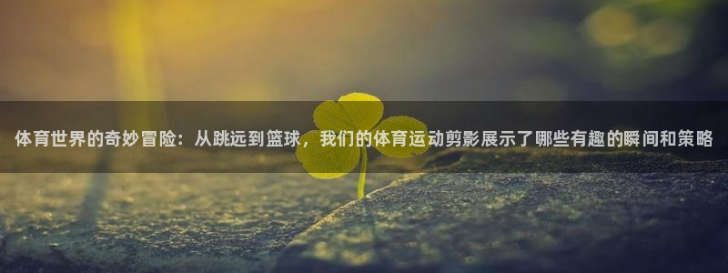 MK体育官网下载招商电话地址是多少:体育世界的奇妙冒险:从跳