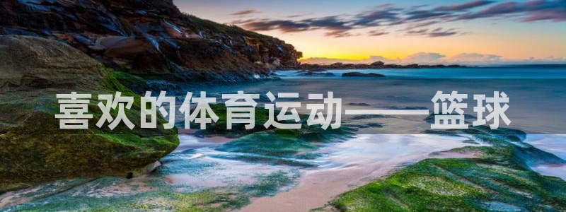 MK体育官方正版app官方:喜欢的体育运动——篮球