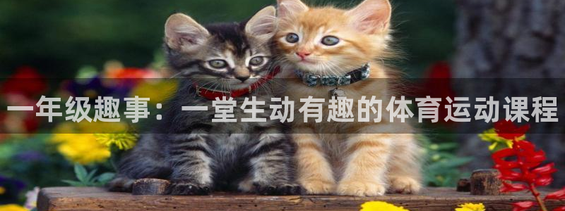 MK体育官方正版app娱乐代理怎么样:一年级趣事:一堂生动有