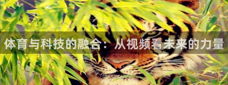 MK体育官方正版app娱乐首页网站大全:体育与科技的融合:从