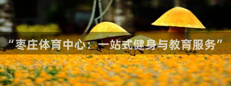 MK体育官网下载平台注册要钱吗安全吗:“枣庄体育中心:一站式