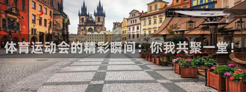 MK体育官网下载联系电话:体育运动会的精彩瞬间:你我共聚一堂